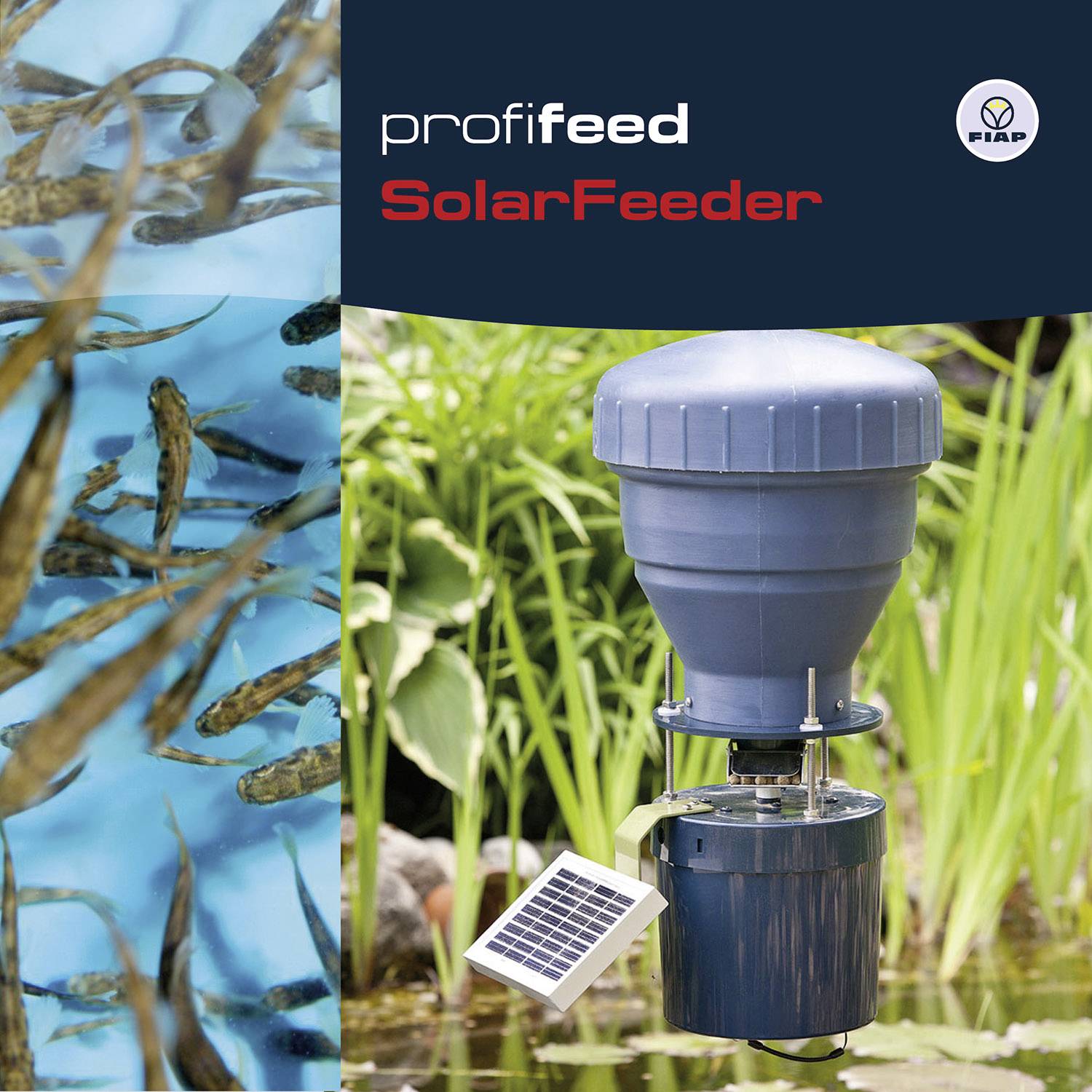 Ein automatischer Fütterungsapparat für Fische mit Solarzellen. Links sind Fische im Wasser zu sehen, rechts das Gerät.