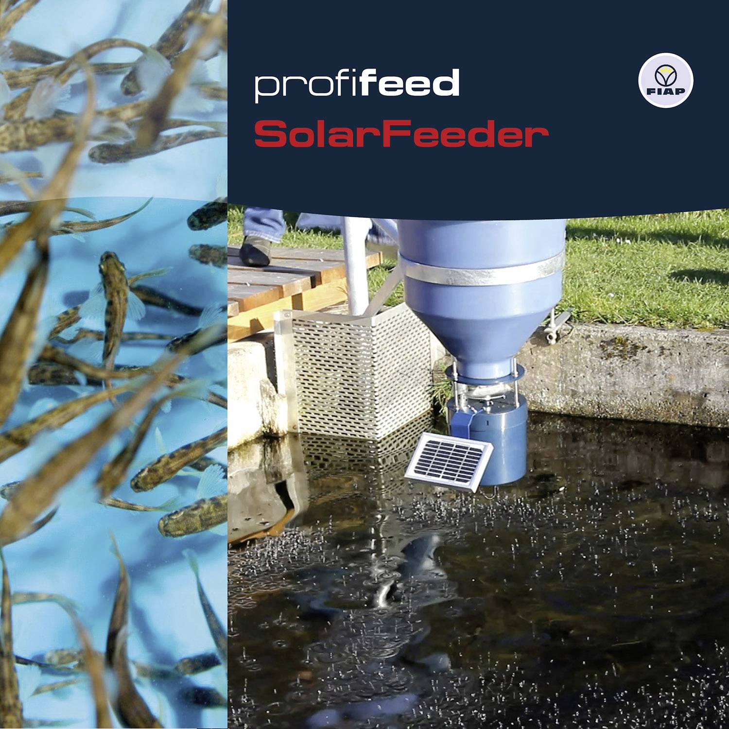 'ProfiFeed SolarFeeder' auf einem blauen Gerät am Rand eines Fischteichs. Links schwimmen zahlreiche Fische im Wasser.