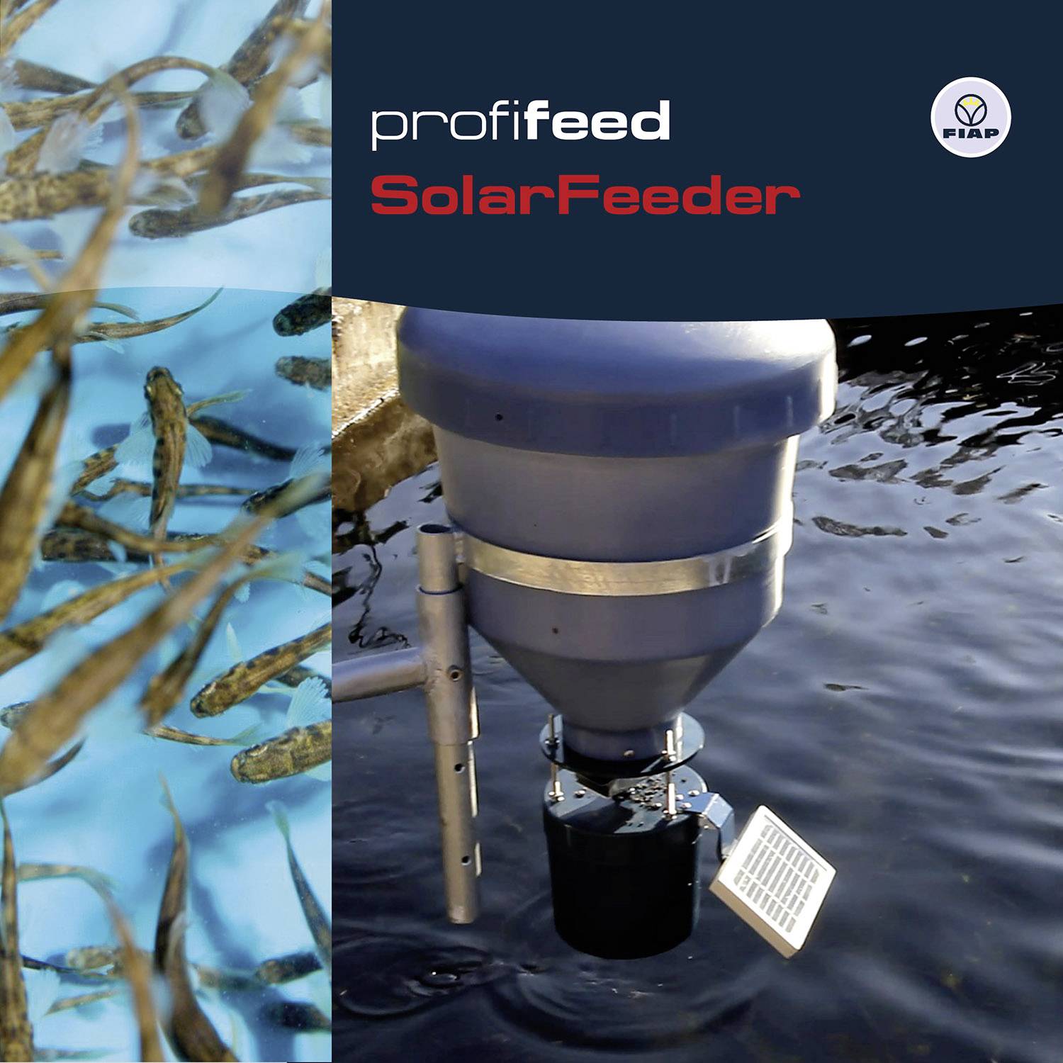 Ein solarbetriebener Futterspender von 'profifeed' für Fische ist in Betrieb zu sehen, umgeben von Fischen im Wasser.