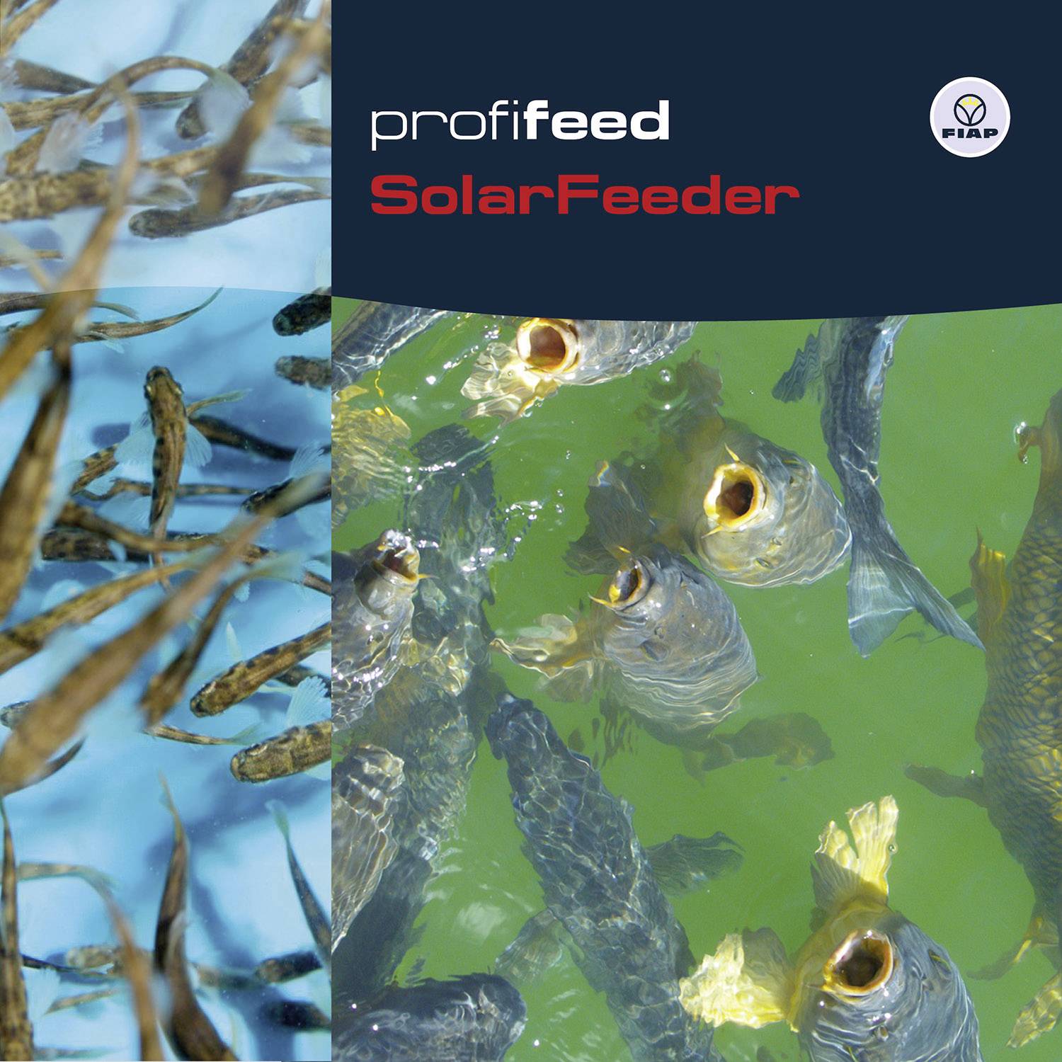 'Profi feed SolarFeeder' Produktbild mit Fischen im Wasser, Sonnenlicht spiegelt sich auf der Wasseroberfläche.