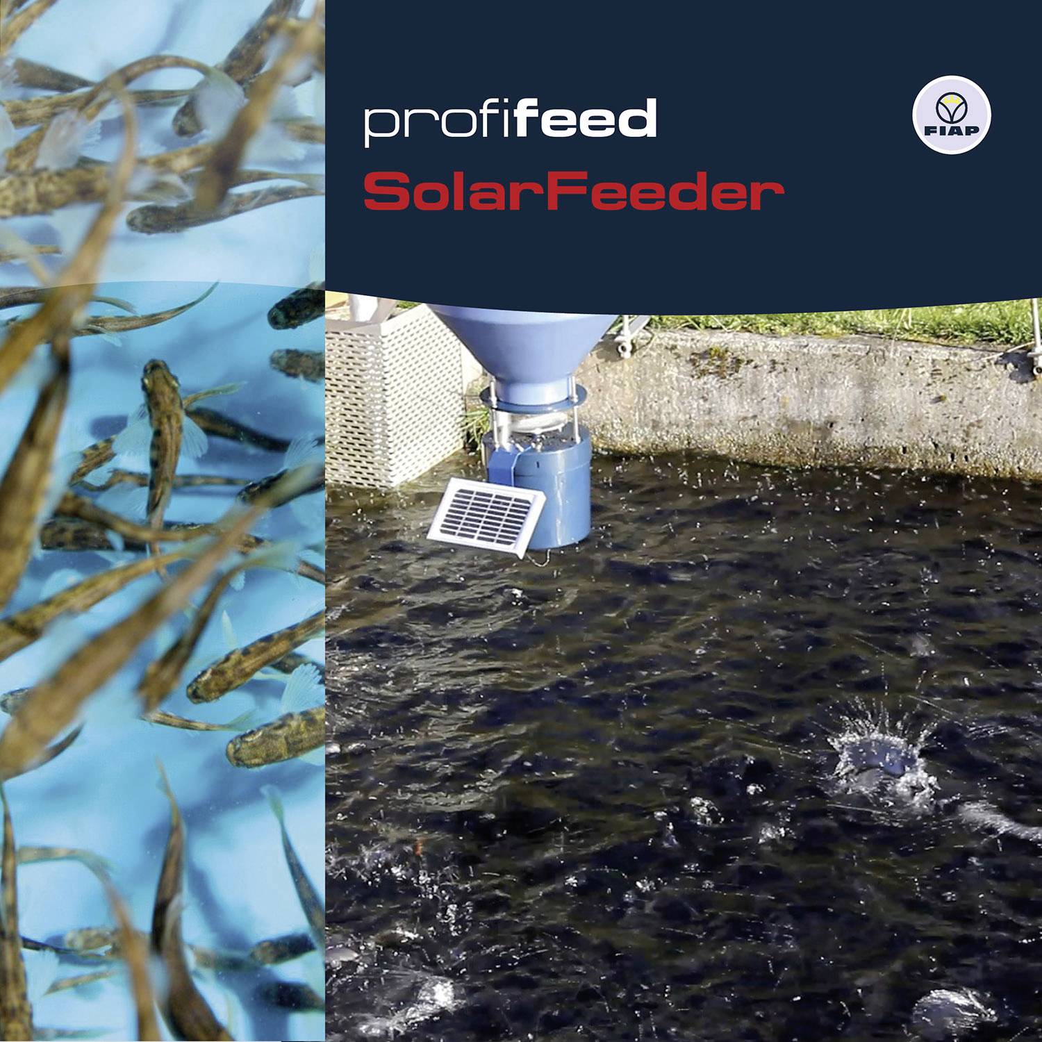 Fischfuttergerät mit Solarbetrieb im Einsatz. Links Fische unter Wasser, rechts Futterautomat in Betrieb, umgeben von grünem Rasen.