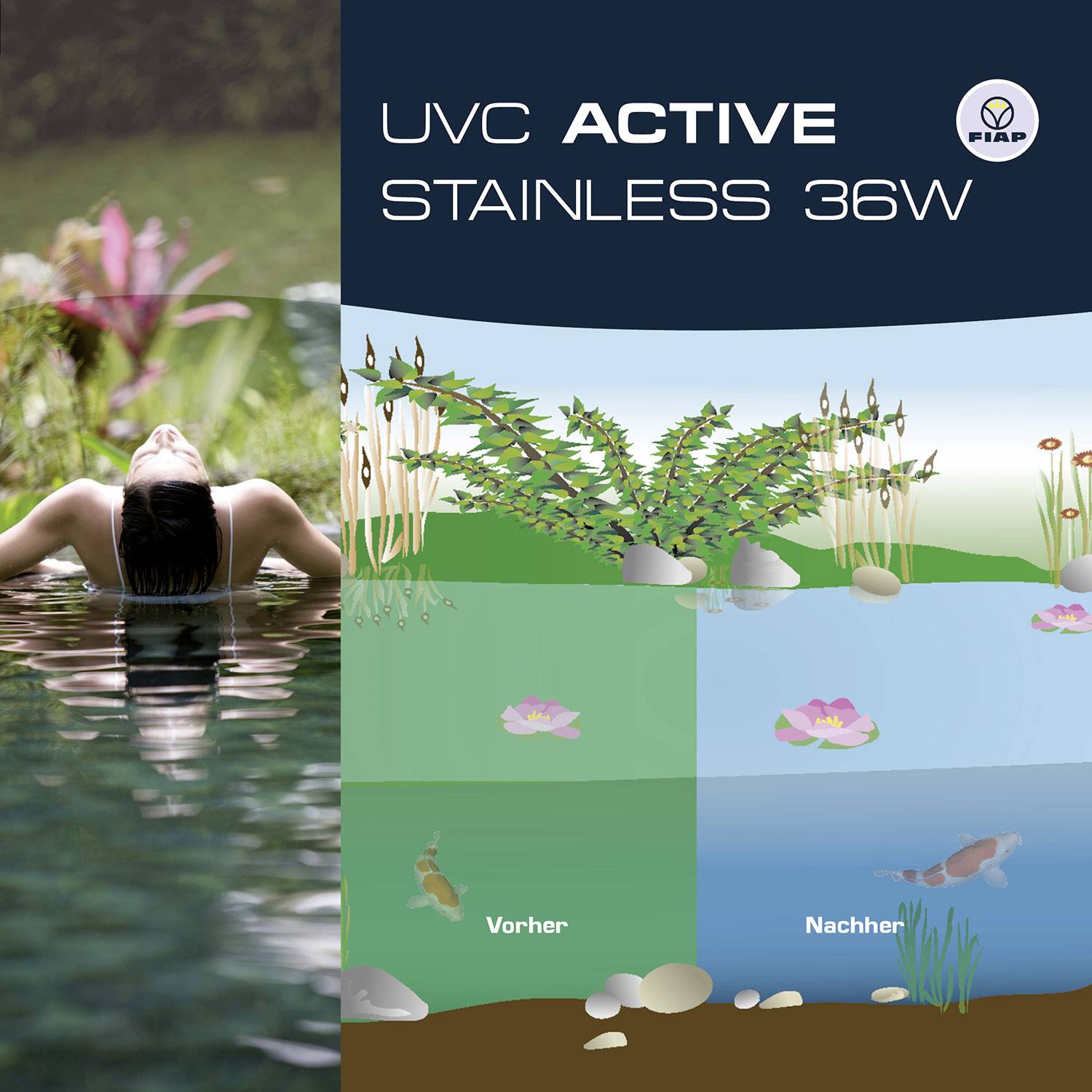 'UVC Active Stainless 36W' zeigt eine gespaltene Ansicht: links entspannt sich jemand im Wasser, rechts sieht man sauberes Teichwasser mit Pflanzen und Fischen.
