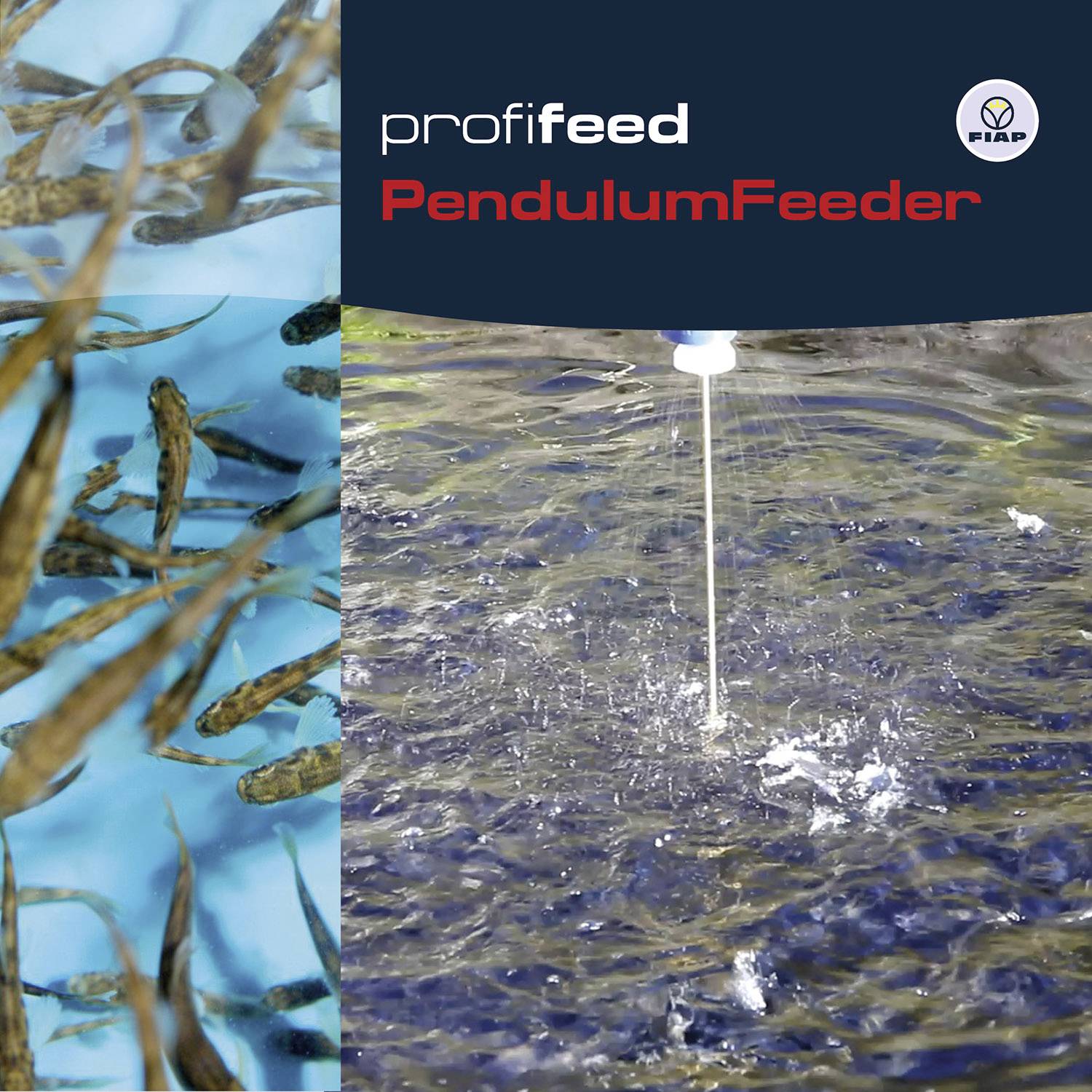 'Profilfeed PendulumFeeder' zeigt ein Futtergerät, das Fische in einem Gewässer füttert. Links schwimmen viele Fische im Wasser.