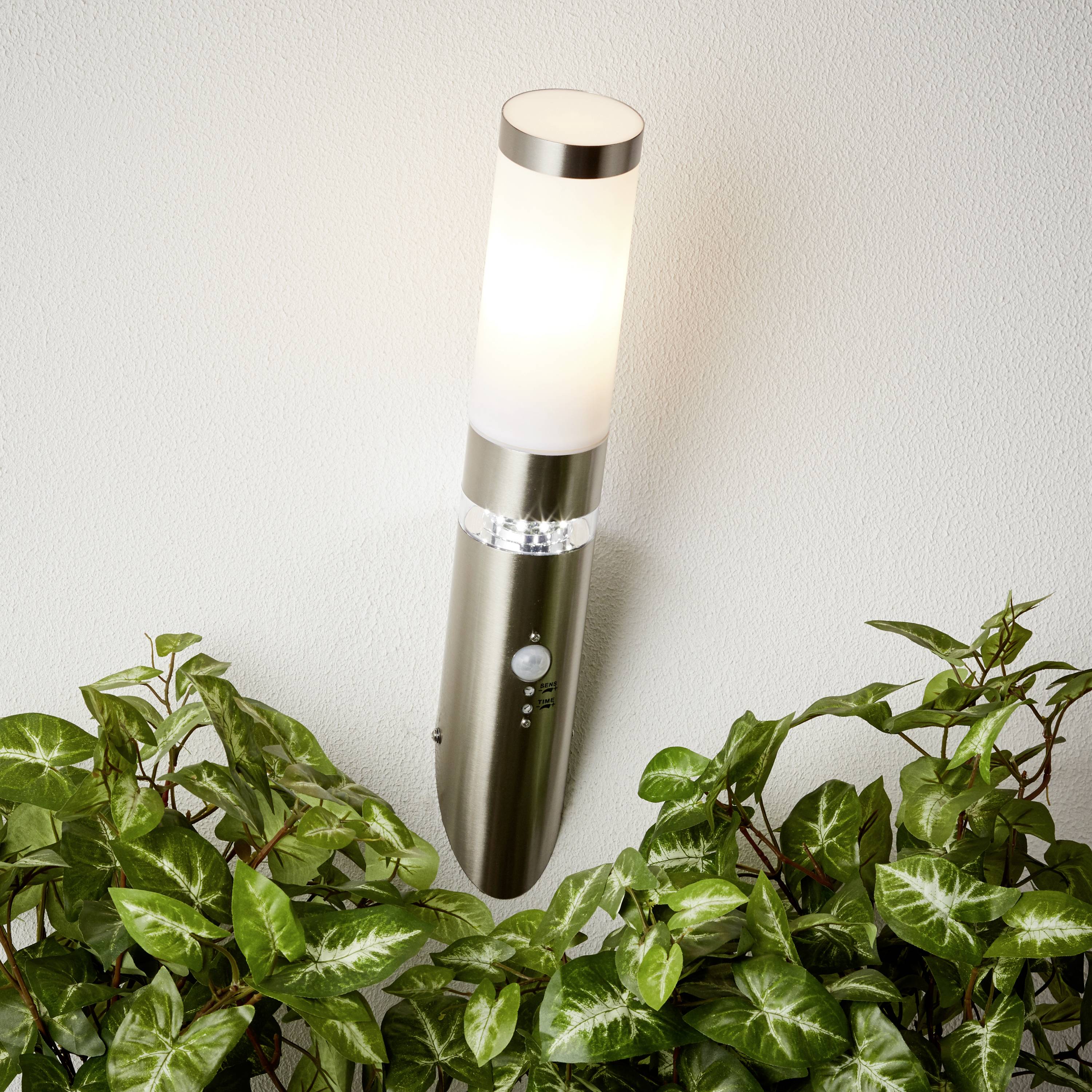 Eine moderne Wandleuchte aus Edelstahl beleuchtet eine grüne Pflanze an der Wand, erzeugt eine warme Atmosphäre im Raum.