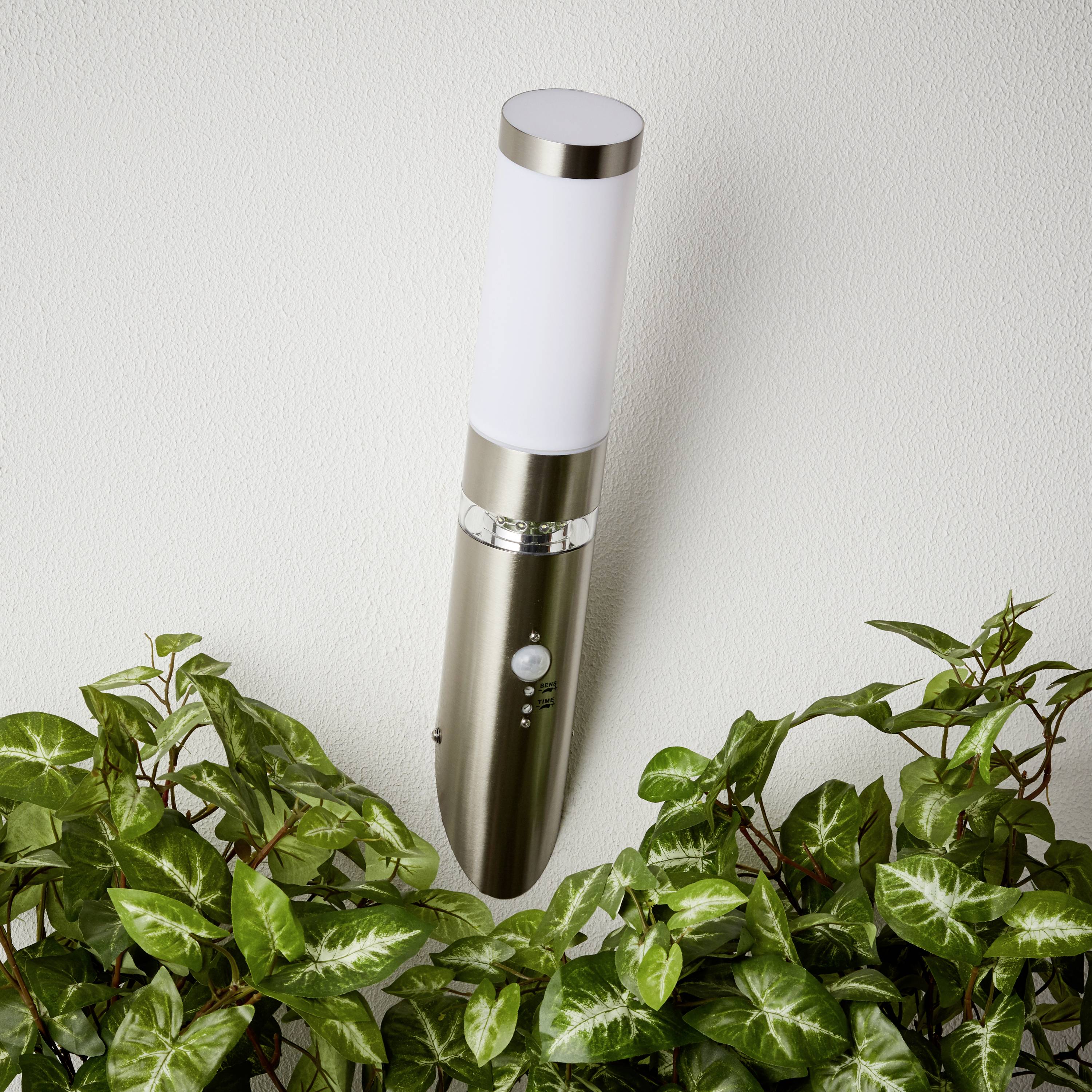 Eine zylindrische Wandlampe aus Metall und Glas leuchtet eine grünblättrige Pflanze an. Die Lampe hat einen Schalter an der Vorderseite.