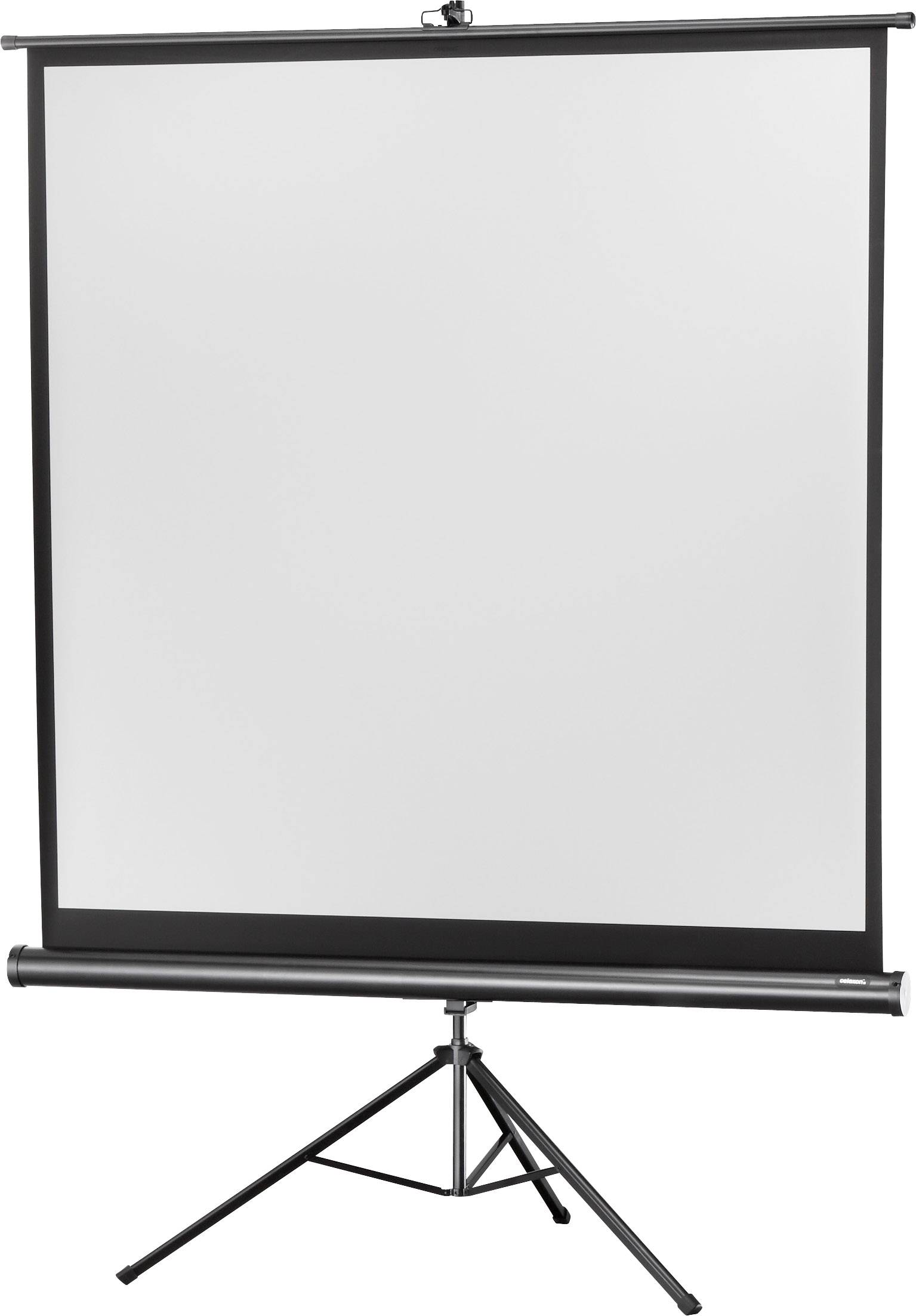 Celexon Stativ Economy 1090017 Stativleinwand 219 x 219cm Bildformat: 1:1