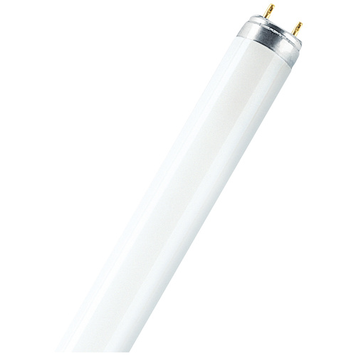 Osram Leuchtstoffröhre EEK: G (A - G) G13 36W Kaltweiß Röhrenform (Ø x L) 26mm x 1213.6mm