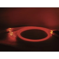 Eurolite LED-Dekobeleuchtung 290mm Eurolite LED-Dekobeleuchtung 290mm