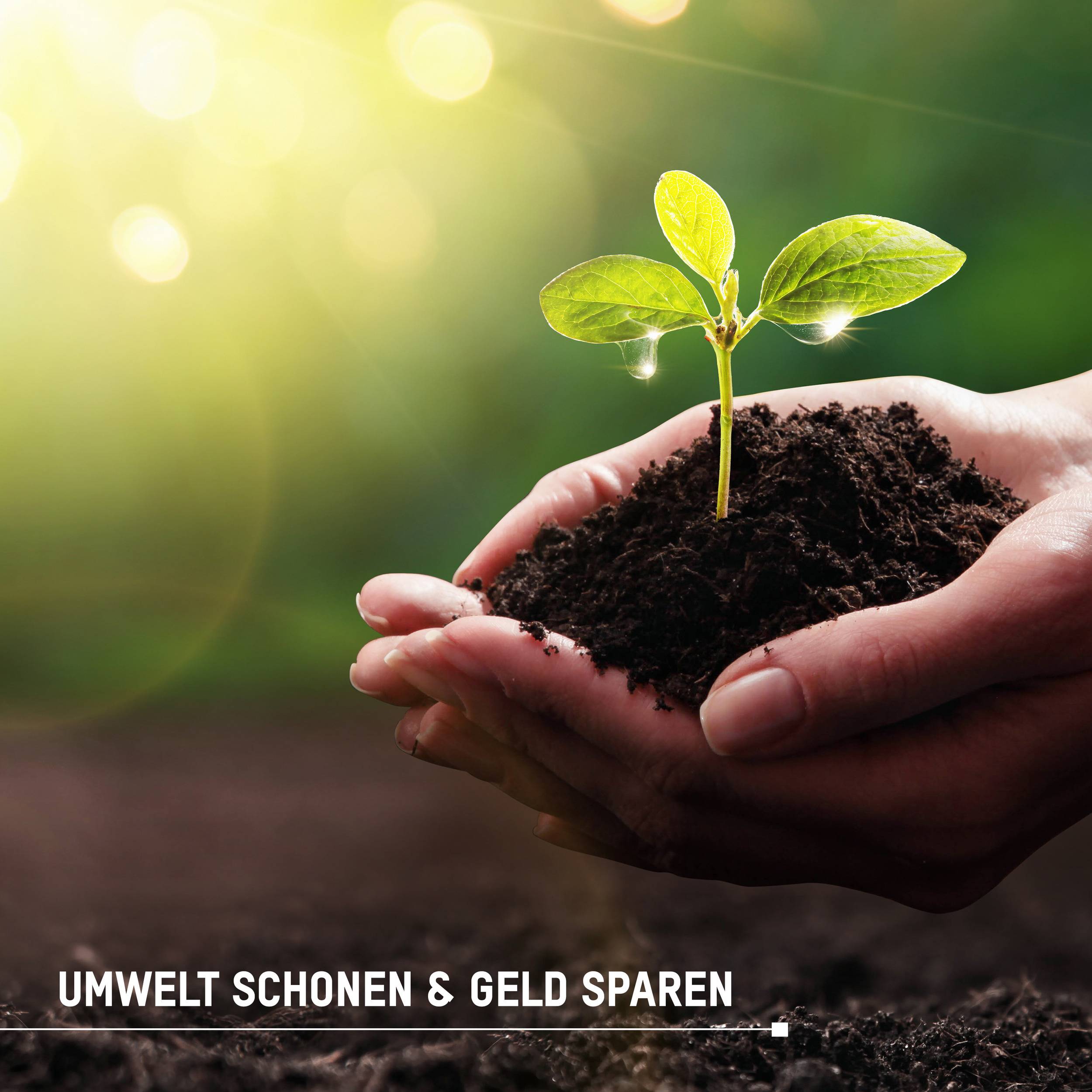 Eine zarte Pflanze sprießt aus Erde, gehalten von zwei Händen in dunkler Umgebung. Text 'UMWELT SCHONEN & GELD SPAREN'.