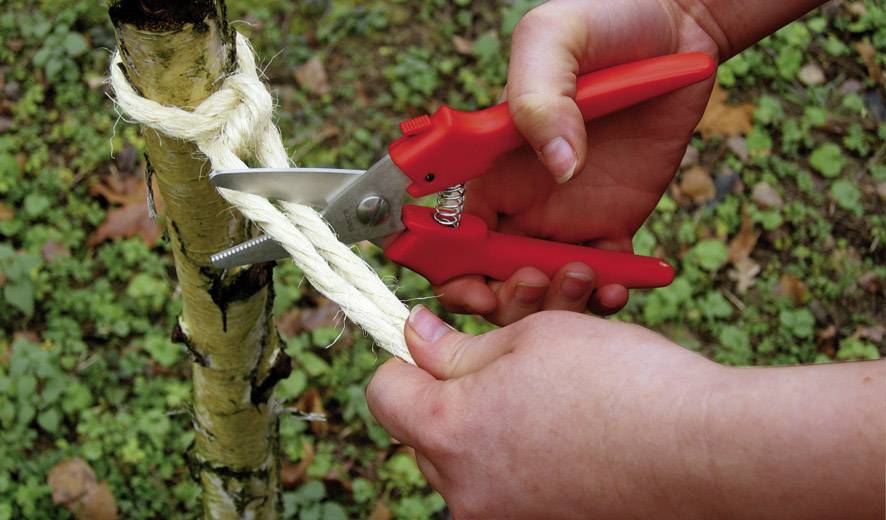 Eine Person schneidet mit einer roten Schere ein dickes Seil, das um einen Baumstamm geknotet ist, auf einer Wiese durch.
