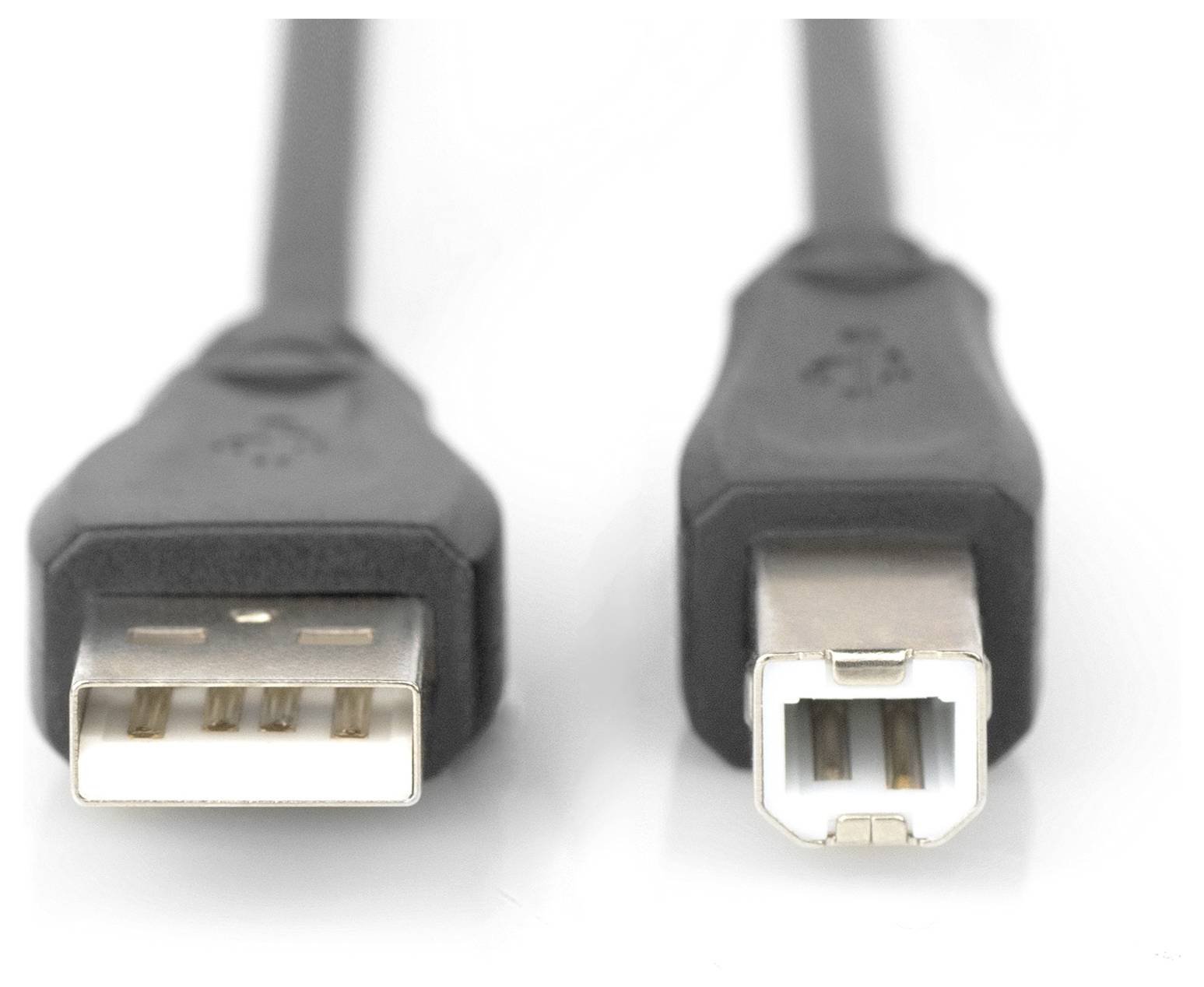 Zwei USB-Kabelstecker in unterschiedlicher Form: links rechteckiger USB-A-Anschluss, rechts quadratischer USB-B-Anschluss.
