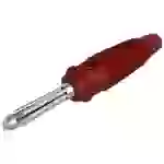 SKS Hirschmann BUELA 20 K Büschelstecker Stecker, gerade Stift-Ø: 4mm Rot SKS Hirschmann BUELA 20 K Büschelstecker Stecker, gerade Stift-Ø: 4mm Rot