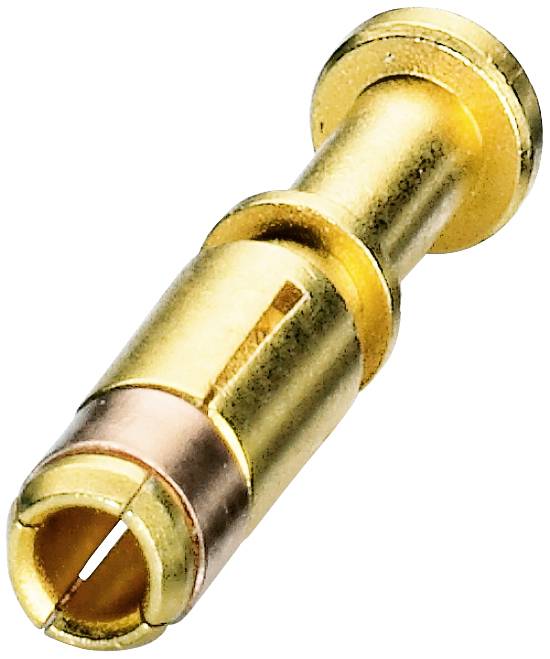 Ein goldener Bananenstecker zur Verwendung in Lautsprecher- oder Audiokabelverbindungen. Zubehör für die Audioinstallation.