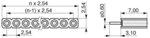 Technisches Diagramm eines Steckers mit Abmessungen: mehrere kreisförmige Öffnungen in 2,54-mm-Abständen, Höhe 3,10 mm, Breite 7,00 mm.