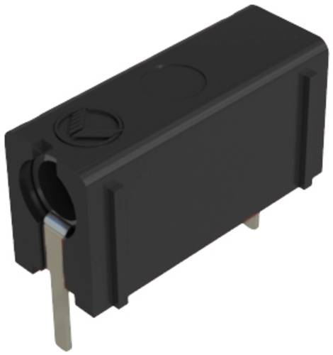 Hirschmann Test & Measurement PB 4 Prüfbuchse Buchse, Einbau vertikal Stift-Ø: 4 mm Schwarz