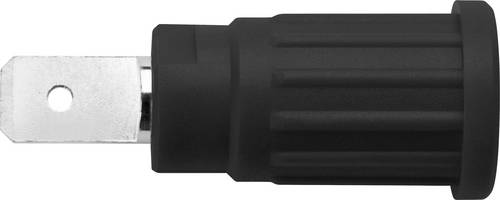 Schützinger SEPB 6453 / SW Sicherheits-Laborbuchse Buchse, Einbau vertikal Stift-Ø: 4mm Schwarz