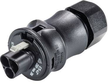 Wieland Electric 96.022.4053.1 Rundstecker Stecker, gerade Gesamtpolzahl: 2 Serie (Rundsteckverbind