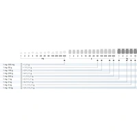 Kern 324-04 F1 Gewichtsatz, 1g - 200g Edelstahl, im Holzetui Kern 324-04 F1 Gewichtsatz, 1g - 200g Edelstahl, im Holzetui