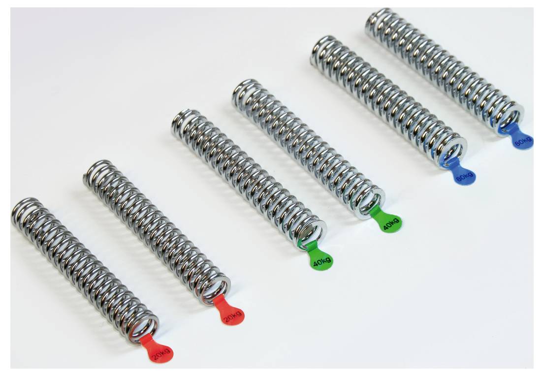 Sechs identische Federn in einer Reihe, jede mit unterschiedlichen farbigen Markierungen: rot, grün und blau.