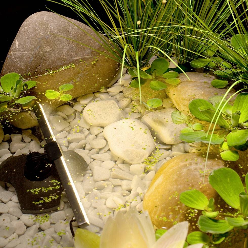 Aquarienlandschaft mit großen Steinen, hellen Kieseln, grünen Wasserpflanzen und einem Heizer, der teilweise unter Wasser ist.
