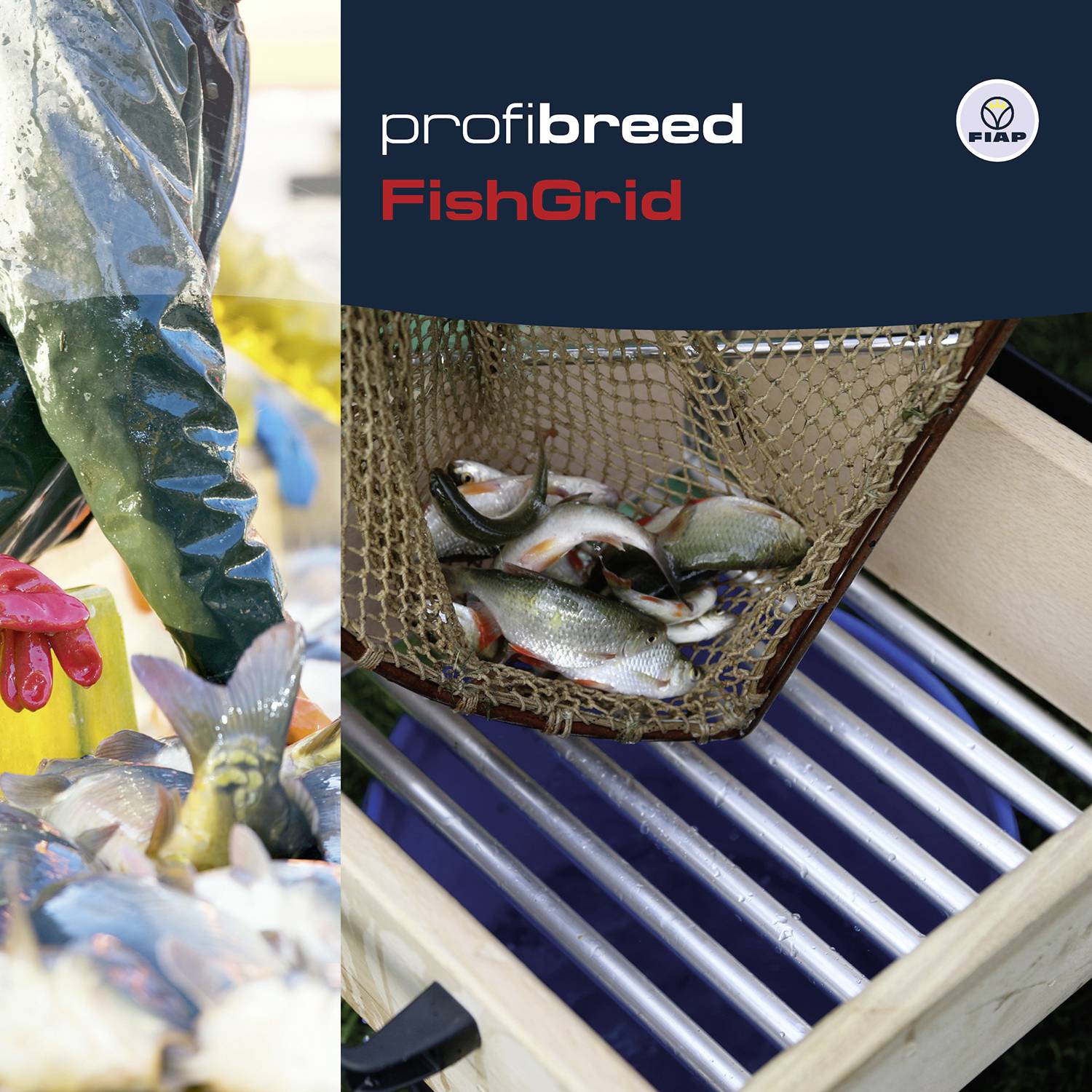 'Arbeiter hält Fisch in einem Netz.' Aufschrift rechts: 'profibreed FishGrid'.uibModal Close-End Initiatives 