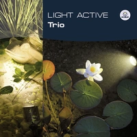 FIAP 3215 Light Active Trio Garten- und Unterwasserbeleuchtung Messing (vernickelt) FIAP 3215 Light Active Trio Garten- und Unterwasserbeleuchtung Messing (vernickelt)