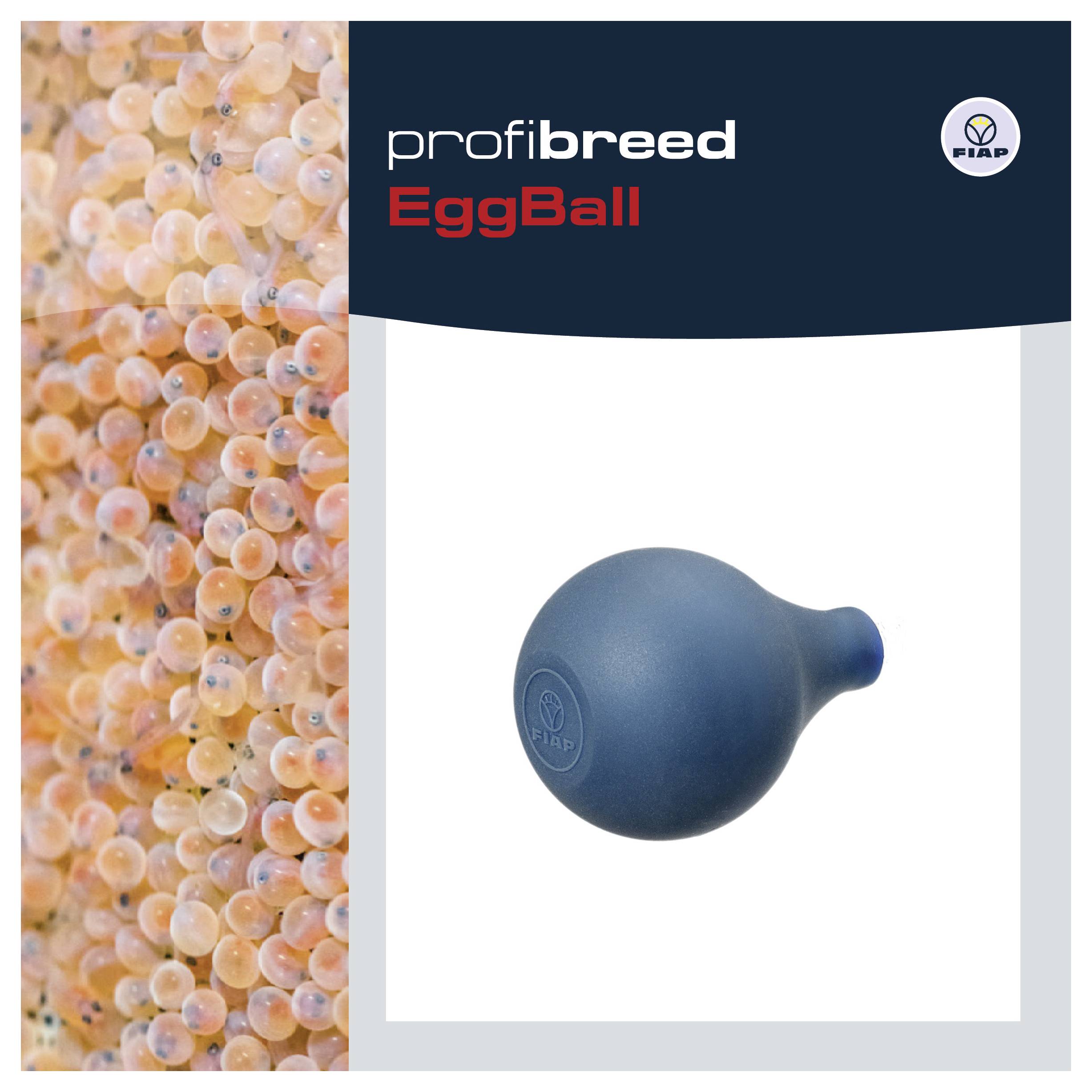 Produktverpackung für „profibreed EggBall