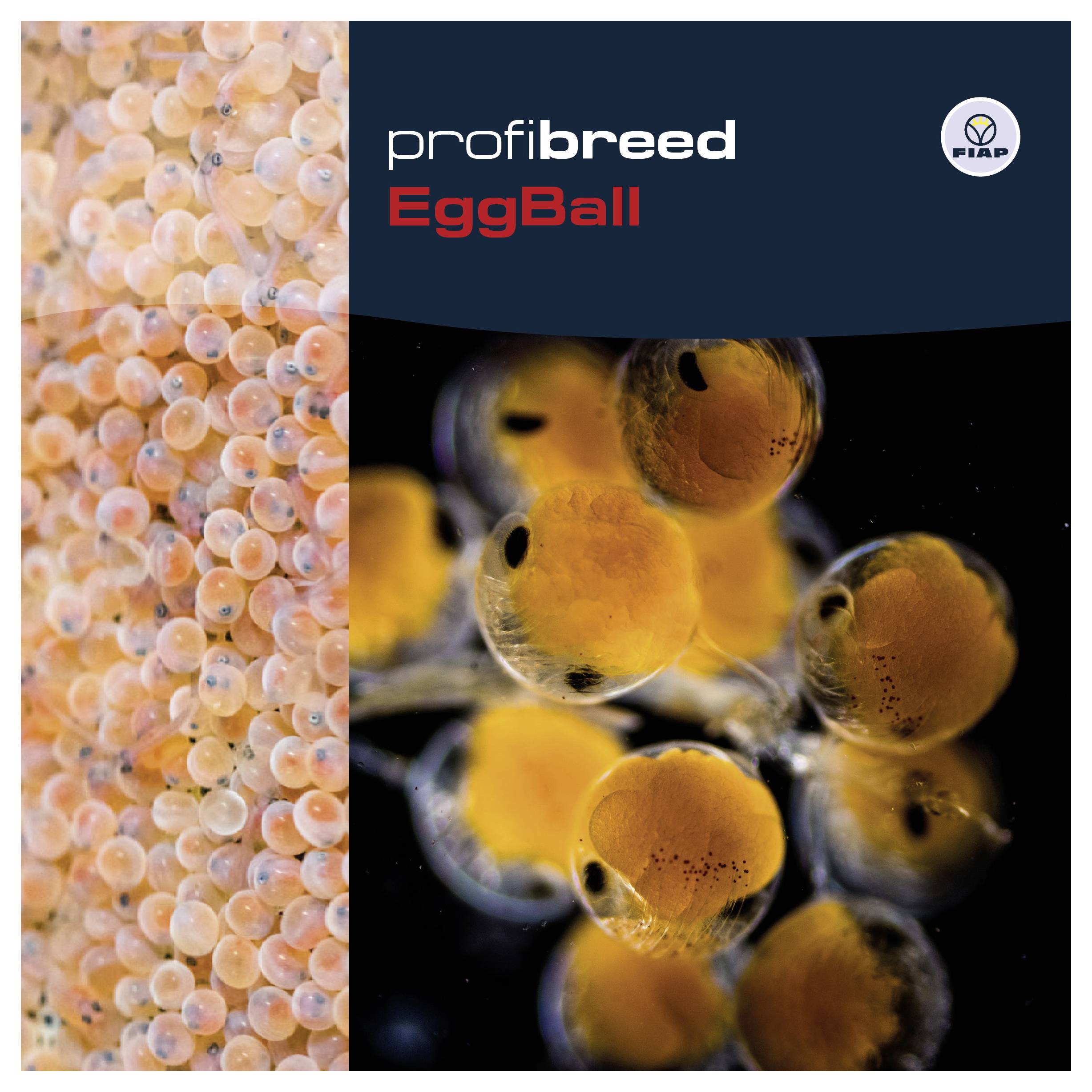 Werbebild für „profibreed EggBall