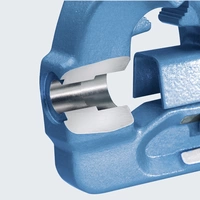 Brockhaus Heuer 100100 Schraubstock 100100 Backenbreite: 100 mm Spann-Weite (max.): 125 mm Brockhaus Heuer 100100 Schraubstock 100100 Backenbreite: 100 mm Spann-Weite (max.): 125 mm