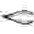 Knipex 79 32 125 Elektronik- u. Feinmechanik Seitenschneider mit Facette 125 mm