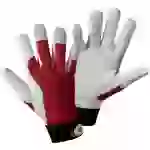 Leipold Doehle 1706-8 Ziegennappaleder Montagehandschuh Größe (Handschuhe): 8, M EN 388:2016 CAT II 1 Paar Leipold Doehle 1706-8 Ziegennappaleder Montagehandschuh Größe (Handschuhe): 8, M EN 388:2016 CAT II 1 Paar