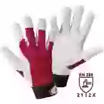 Leipold Doehle 1706-9 Ziegennappaleder Montagehandschuh Größe (Handschuhe): 9, L EN 388:2016 CAT II 1 Paar Leipold Doehle 1706-9 Ziegennappaleder Montagehandschuh Größe (Handschuhe): 9, L EN 388:2016 CAT II 1 Paar