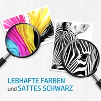 HP 301 Druckerpatrone Kombi-Pack Original Schwarz, Cyan, Magenta, Gelb N9J72AE Tinte HP 301 Druckerpatrone Kombi-Pack Original Schwarz, Cyan, Magenta, Gelb N9J72AE Tinte
