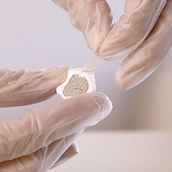 Eine Person trägt Handschuhe und hält ein weißes Objekt mit sichtbarem hellbraunem Material im Inneren, was auf eine Untersuchung oder Analyse in einer Laborumgebung hindeutet.