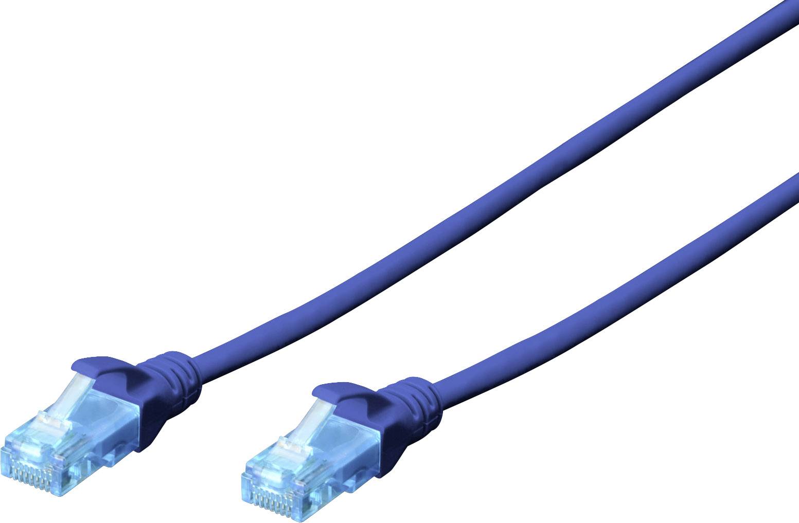Zwei blaue Ethernet-Kabel mit RJ45-Steckern an beiden Enden, verwendet für Netzwerkverbindungen.