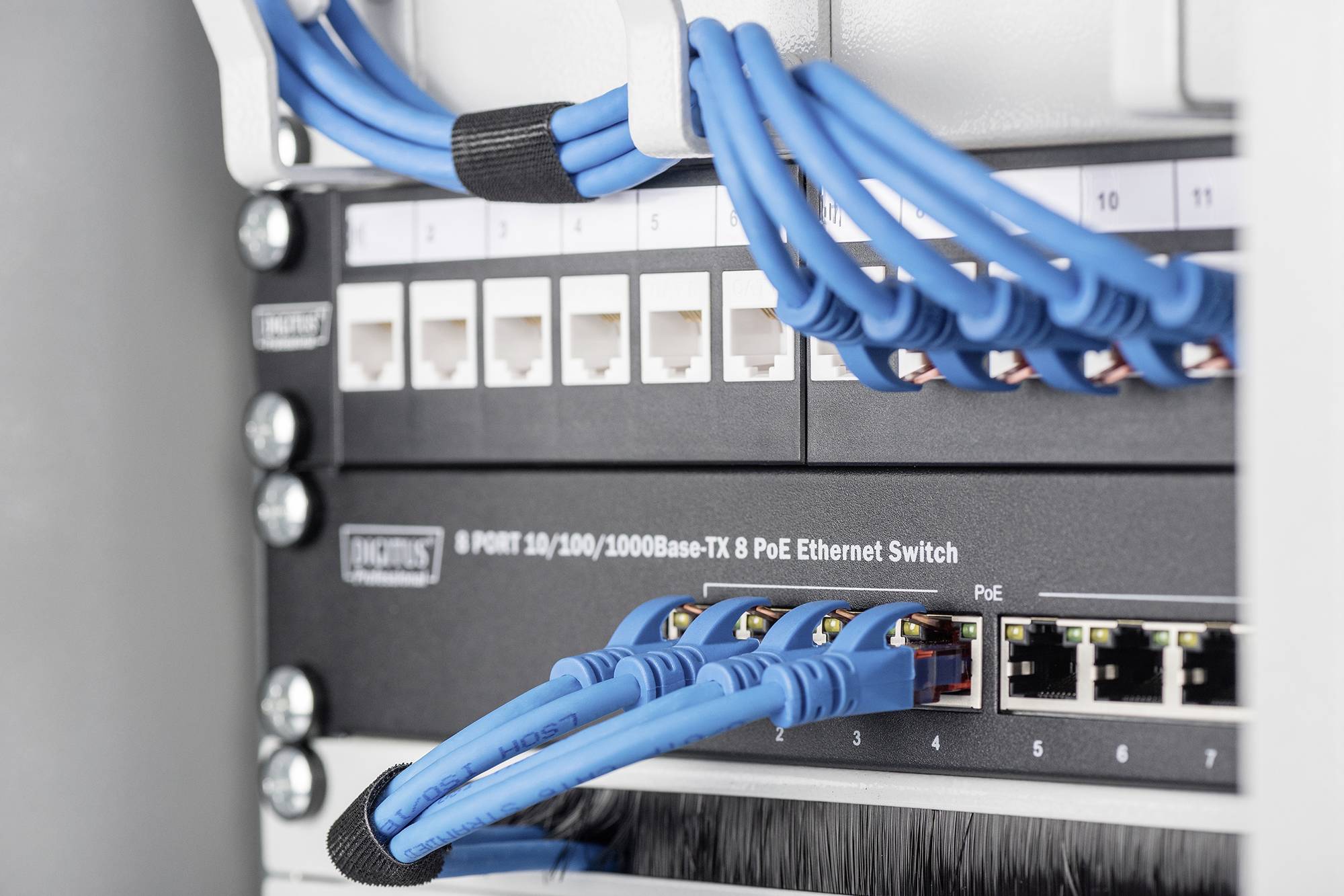 Ein Ethernet-Switch mit blauen Kabeln, die an verschiedene Ports angeschlossen sind. Bezeichnung '8 Port 10/100/1000Base-TX 8 PoE Ethernet Switch'.