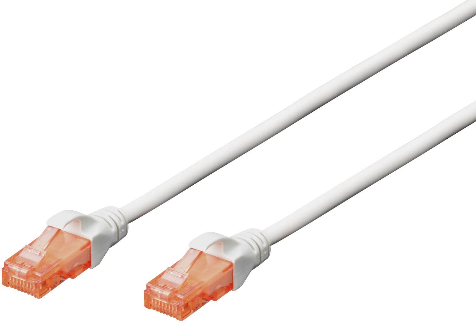 Zwei Ethernet-Kabel mit orangefarbenen Steckern, die in die gleiche Richtung zeigen.