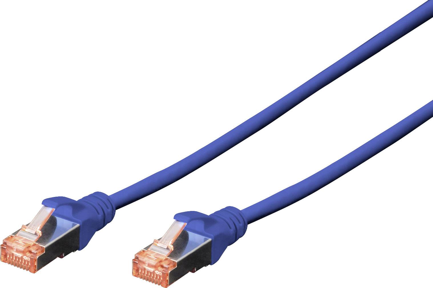 Ein blaues Ethernet-Kabel mit zwei Steckern, das für Netzwerkverbindungen verwendet wird.