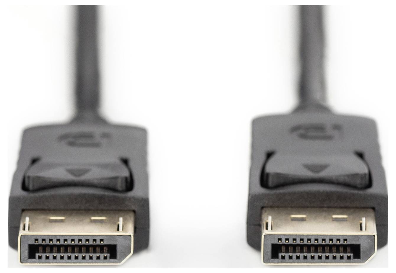 Zwei DisplayPort-Stecker nebeneinander, verwendet für die Verbindung von Computern mit Monitoren zur Übertragung von Video- und Audiosignalen.