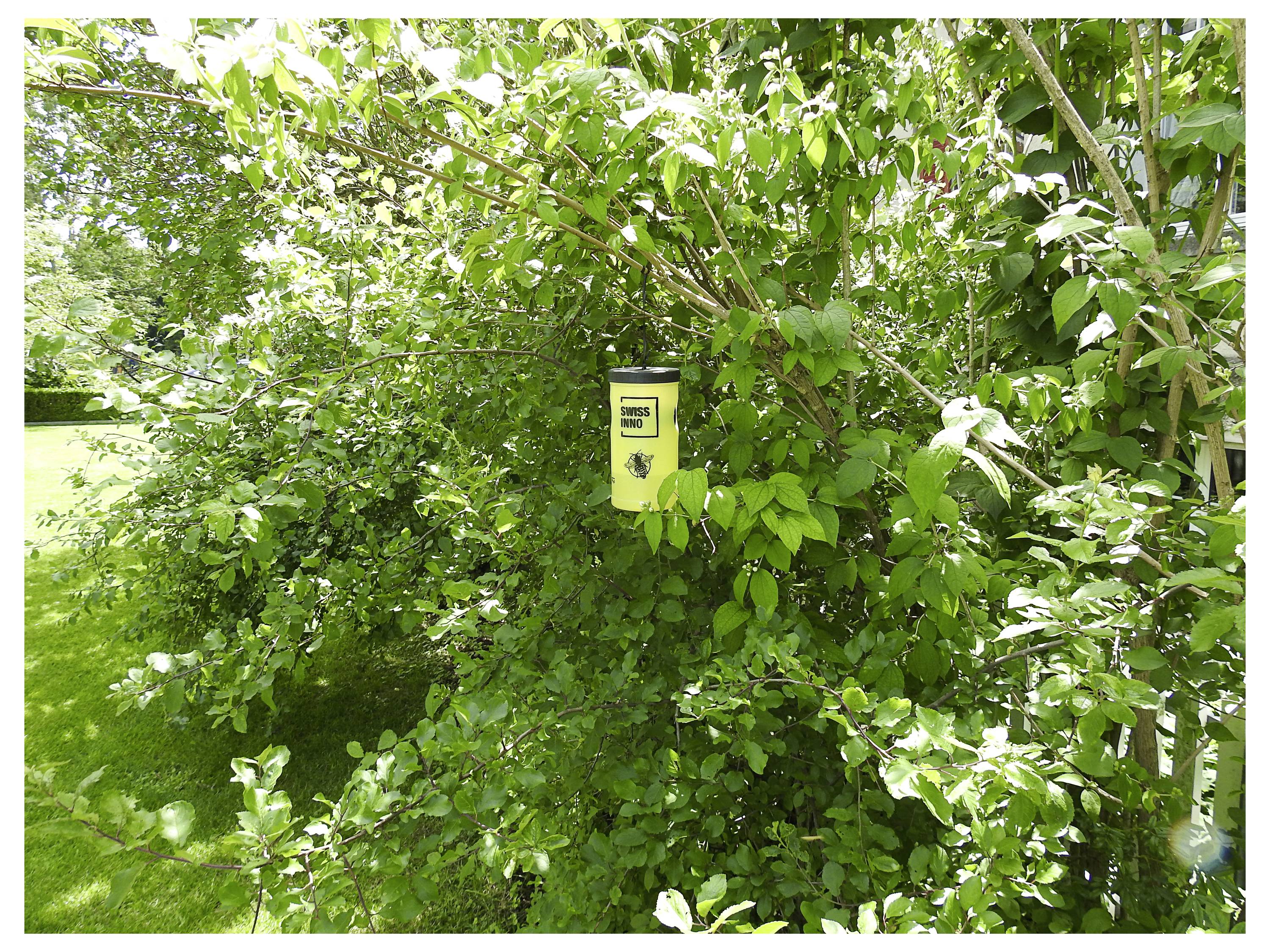 Ein gelber Behälter mit der Aufschrift 