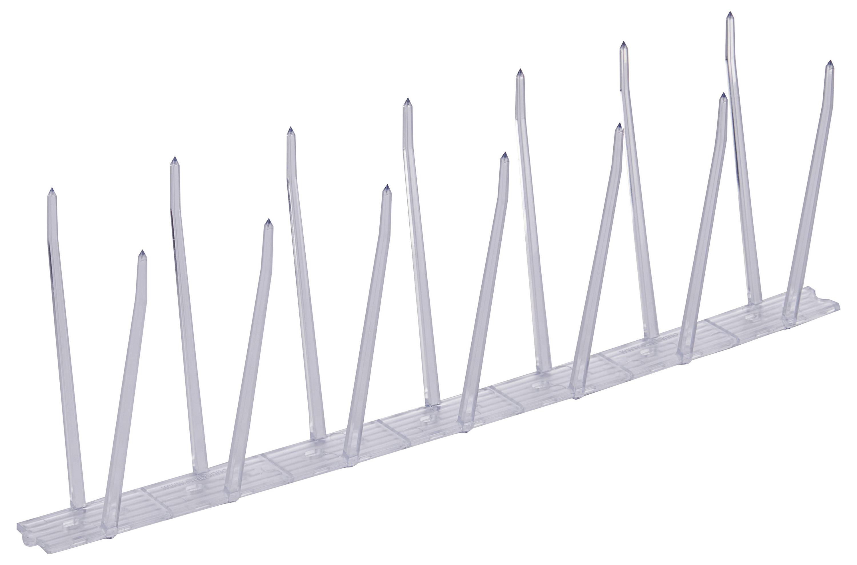 Ein transparenter Kunststoff-Spitzensatz, der entwickelt wurde, um Vögel vom Landen abzuschrecken, bestehend aus mehreren hohen und spitzen Spitzen auf einer flachen Basis.
