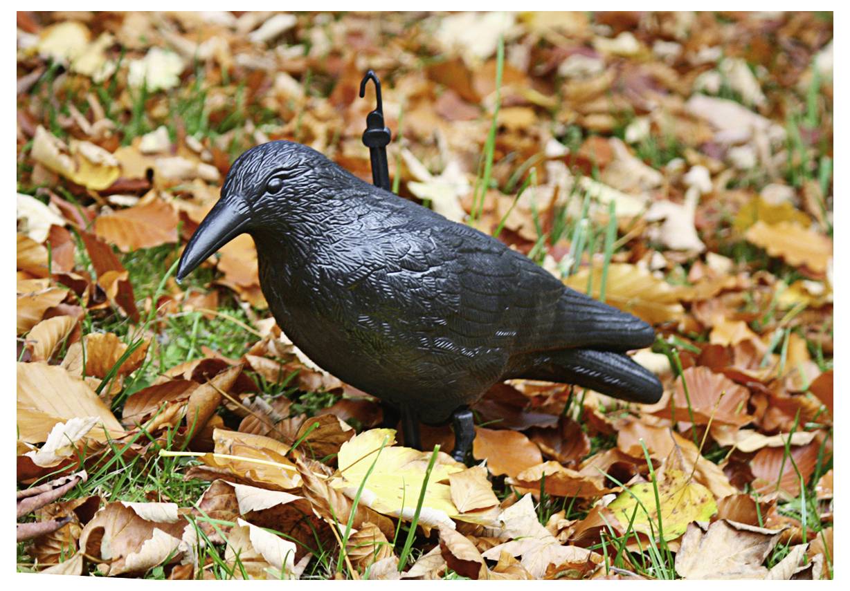 Swissinno raven Taubenabwehr-Rabe Funktionsart Abschreckung 1 St.