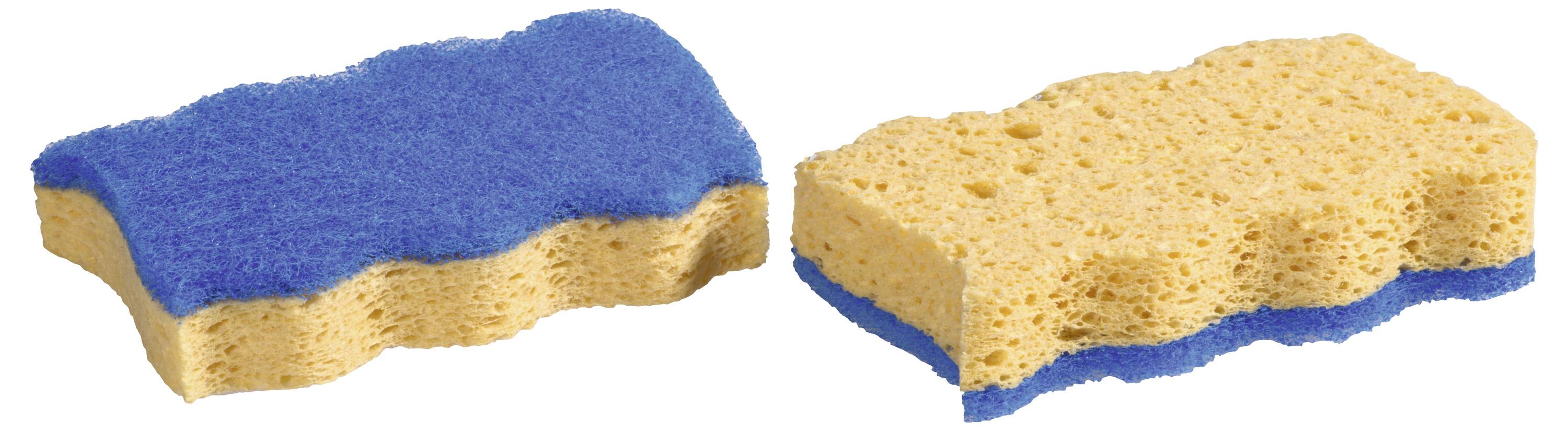 Zwei Schwammstücke: eines mit blauer Oberseite und beigen Seitenflächen, das andere mit beiger Oberseite und blauem Boden, die beide Schichten getrennt zeigen.