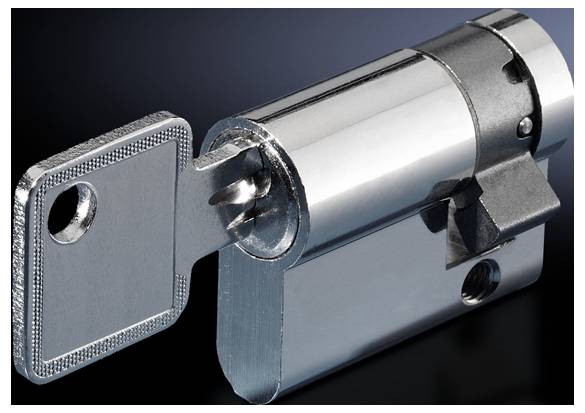 Rittal CS 9785.040 Verschlusseinsatz 1St.