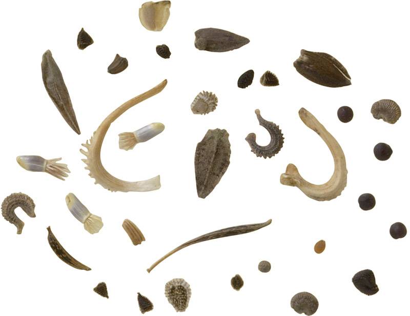 Kosmos 604028 Garten-Piraten Bastelbox ab 8 Jahre