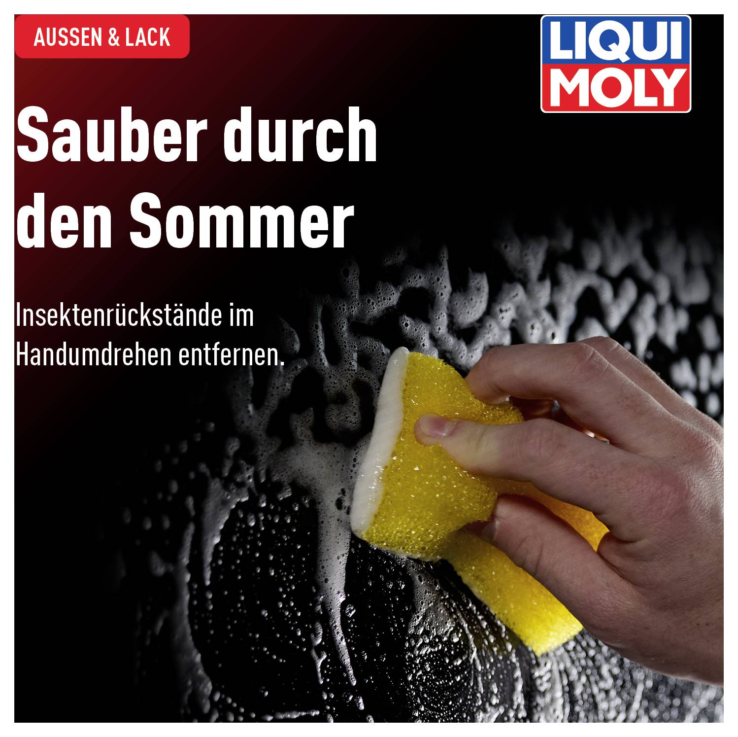 Liqui Moly 1548 Insektenschwamm 1St.