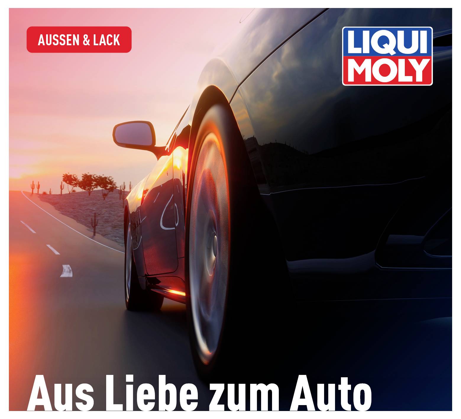 Liqui Moly 1548 Insektenschwamm 1St.