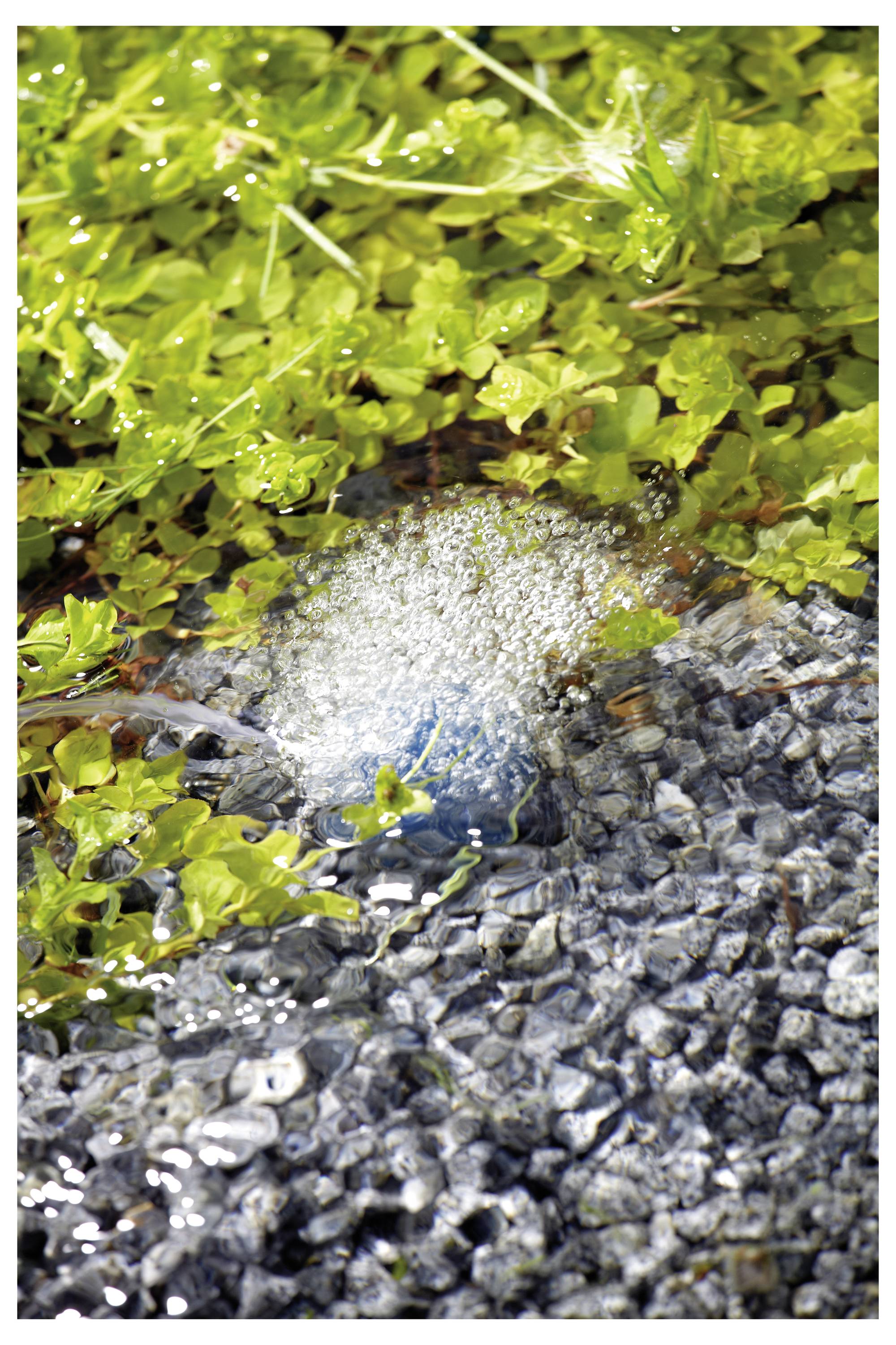 Ein kleiner Brunnen versprüht Wasser über grüne Pflanzen und graue Kieselsteine und erzeugt dabei eine sanfte, sprudelnde Wirkung in einer Gartenumgebung.