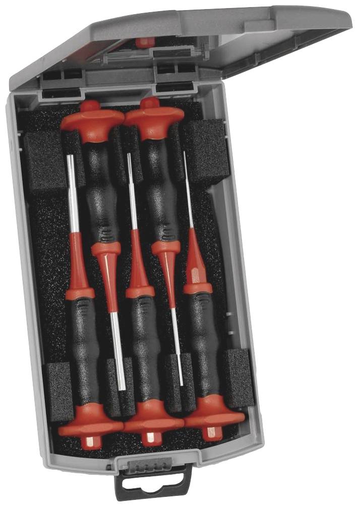 Rennsteig Werkzeuge Splintentreibersatz HS Exklusiv 425 502 6