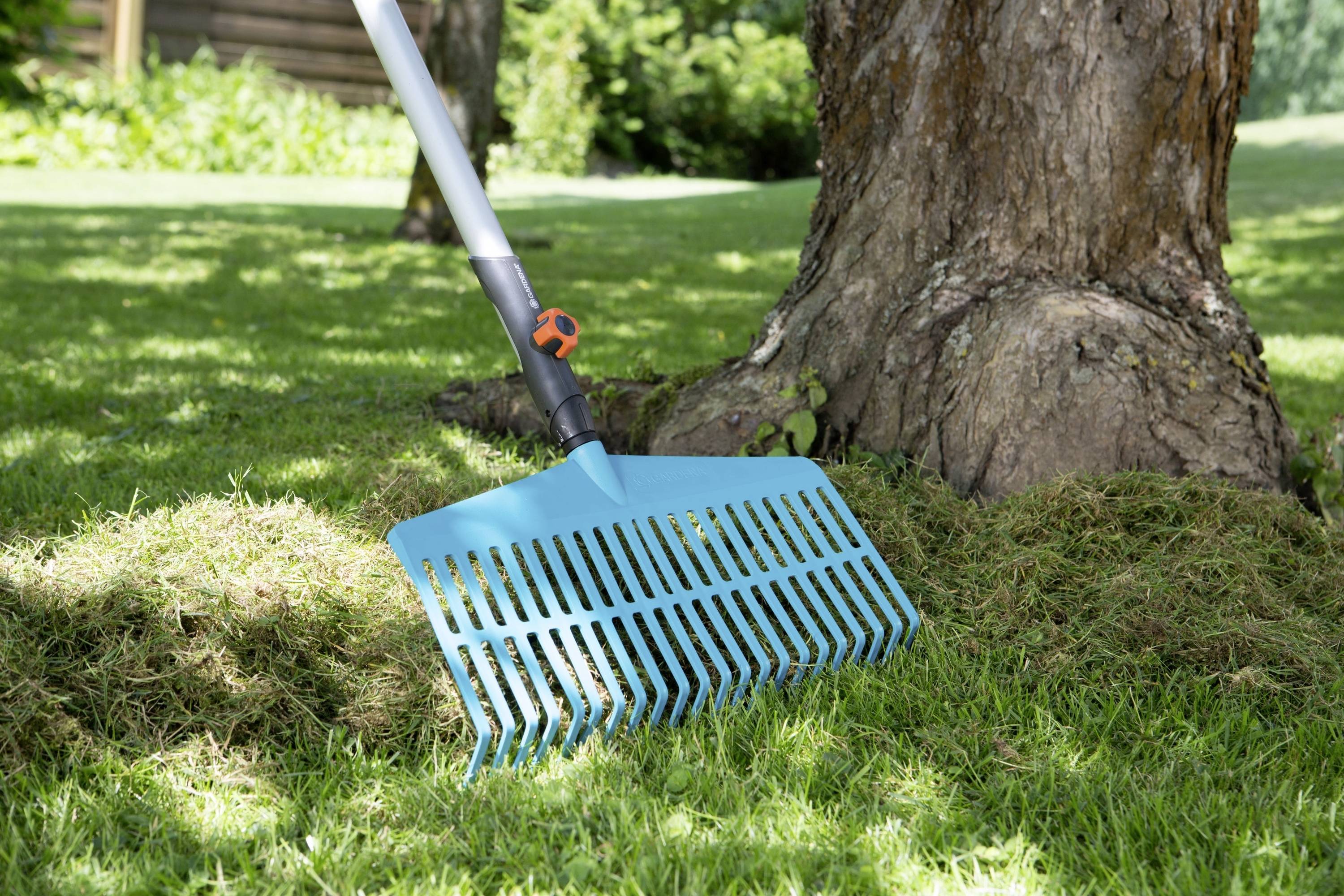 Eine blaue Plastik-Rechen lehnt an einem Baumstamm auf einer Rasenfläche. Im Hintergrund ist ein Garten zu sehen.